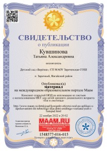 Свидетельство о публикации 11.22г
